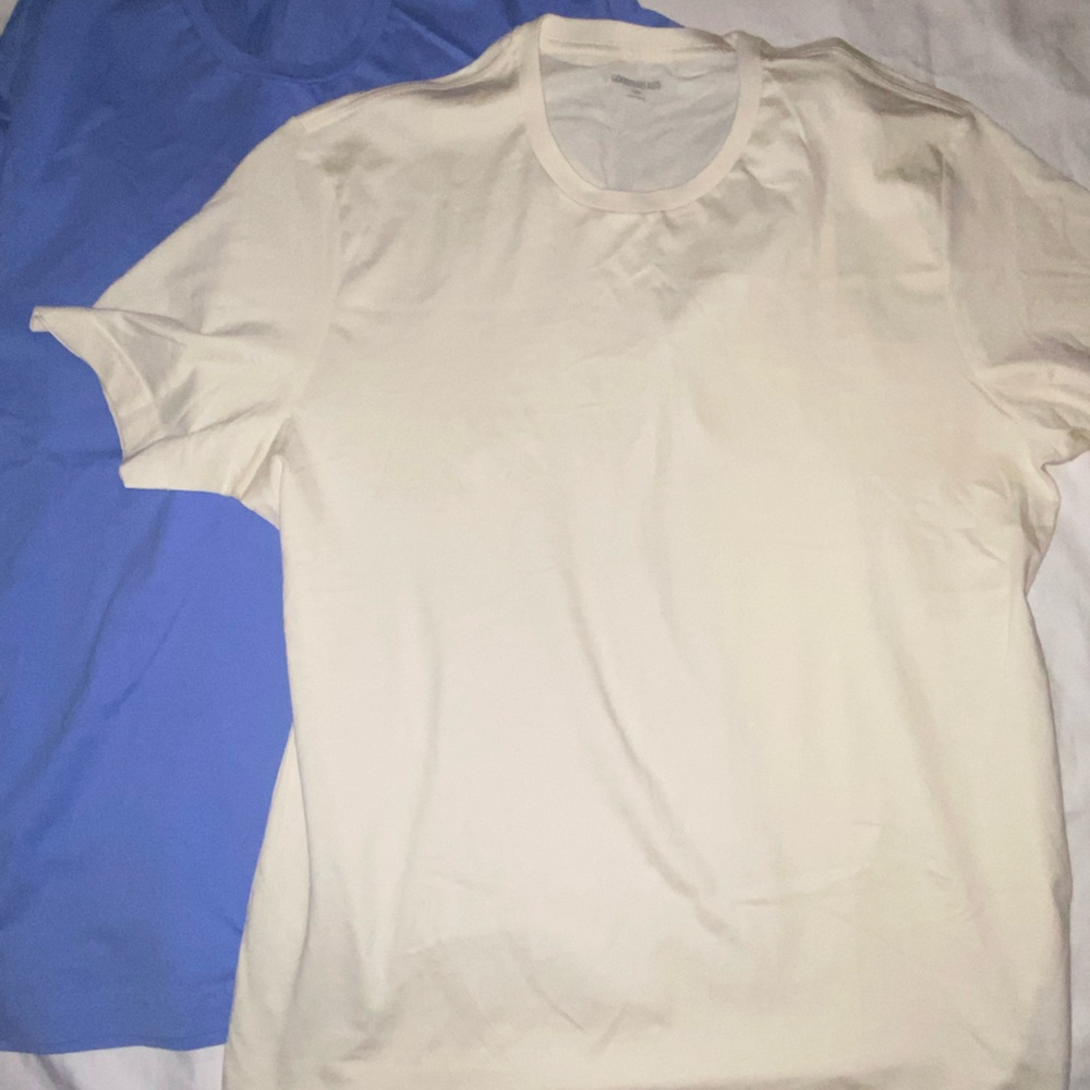 Goodthreads Men's Short Sleeve Tees in Cream and Blue  Set of 2 shirts.